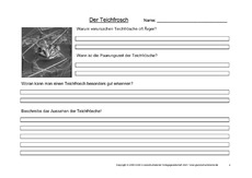 Arbeitsblatt-Teichfrosch-2.pdf